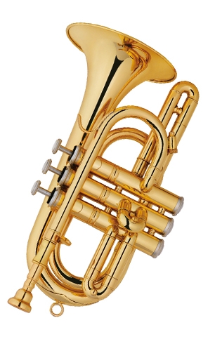 Cornet LSXD-563