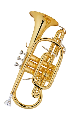 Cornet LSXD-562