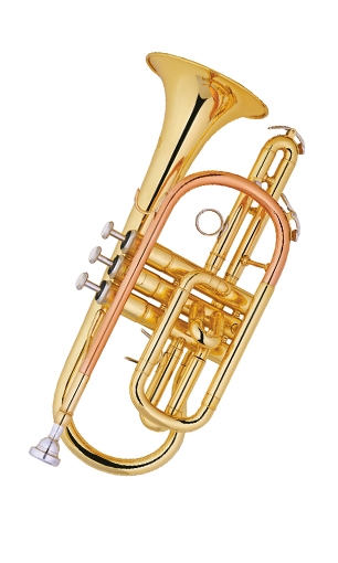 Cornet LSXD-561