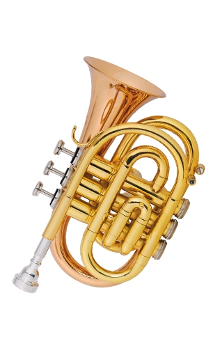 Pocket Trumpet LSZ-864G