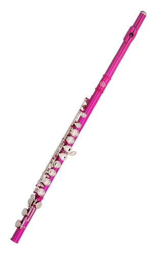 Flute 16 Holes LSCD-462Z