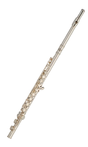 Flute 16 Holes LSCD-461