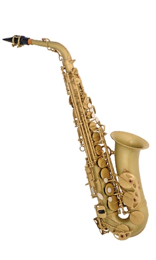 Alto-saxophone LSS-953DL