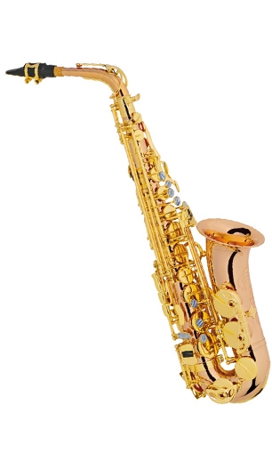 Alto-saxophone LSS-952G