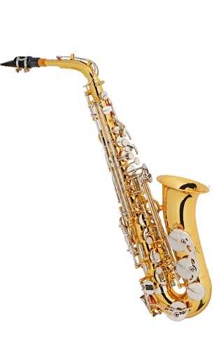 Alto-saxophone LSS-951LN