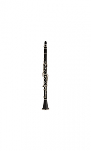 Clarinet LSDH-382