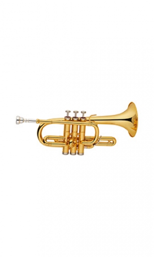 Children Trumpet LSER-201