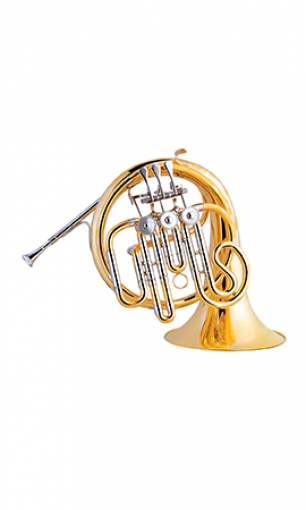 Children French horn LSY-638