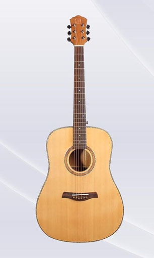 Acoustic guitar LSA-1