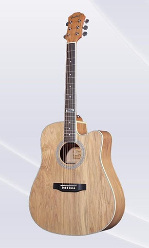 Acoustic guitar LSA-2