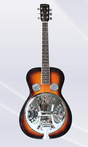 Acoustic guitar LSA-3