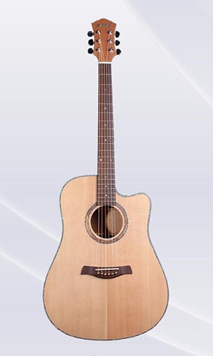 Acosutic guitar LSA-4