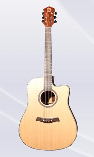 Acoustic guitar LSA-5