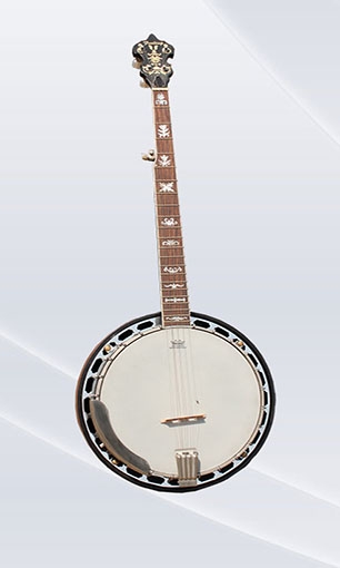 Banjo LSB-2