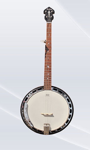 Banjo LSB-4