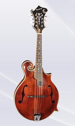 Mandolin LSM-1