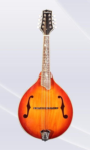 Mandolin LSM-2