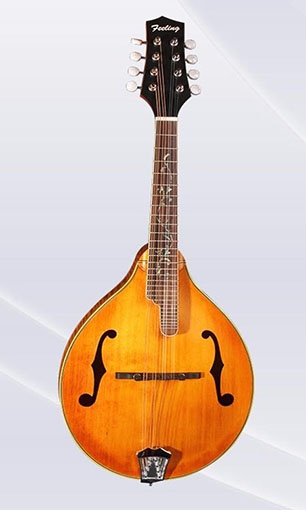 Mandolin LSM-5