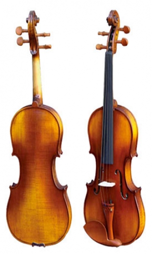 Violin LS-V11-F