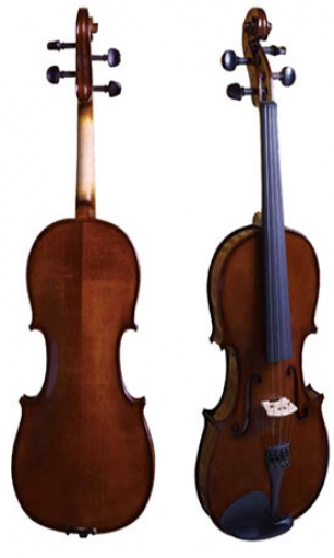 Violin LS-V11-SC