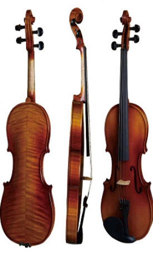 Violin LS-V21