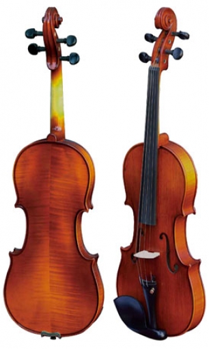 Violin LS-V21-SC