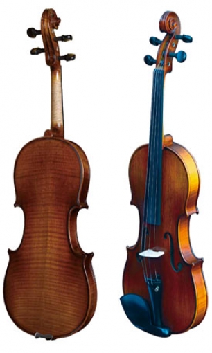 Violin LS-V31-B