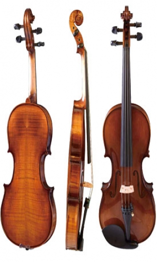 Violin LS-V31-C