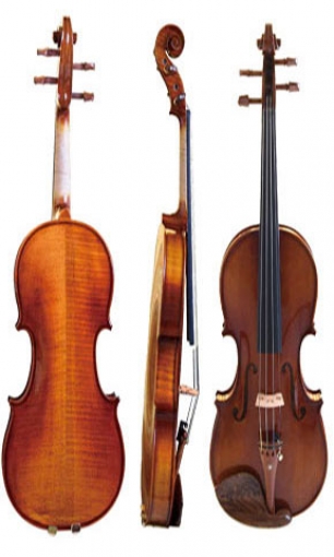 Violin LS-V31-A