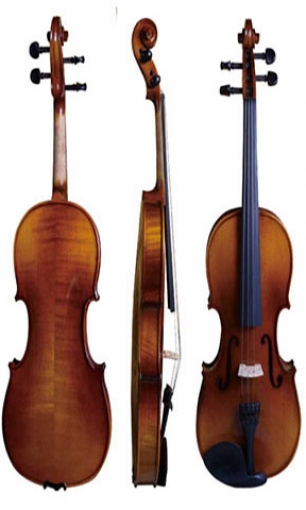 Violin LS-V11-F-SC