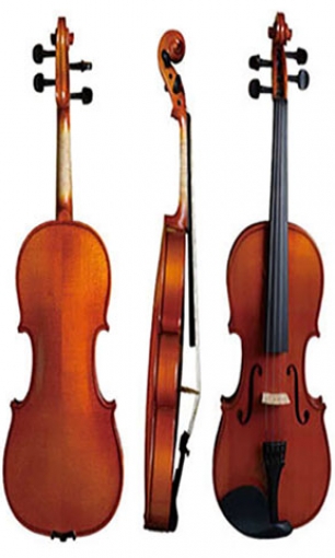 Violin LS-V11