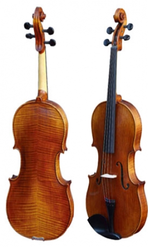 Viola LS-VA-41